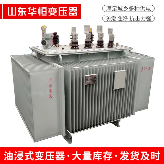 S13-10000/35略阳略阳略阳电力变压器厂家